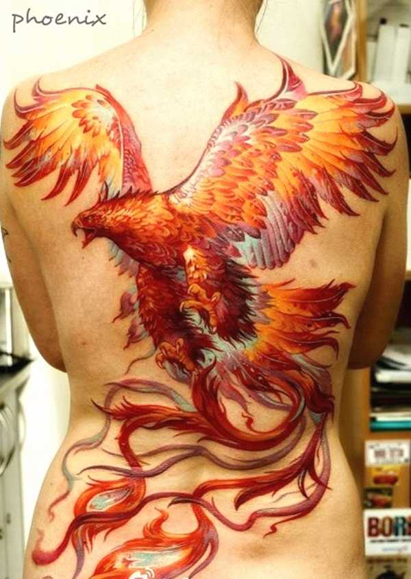 Magische Phönix Tattoos Tattoo Spirit