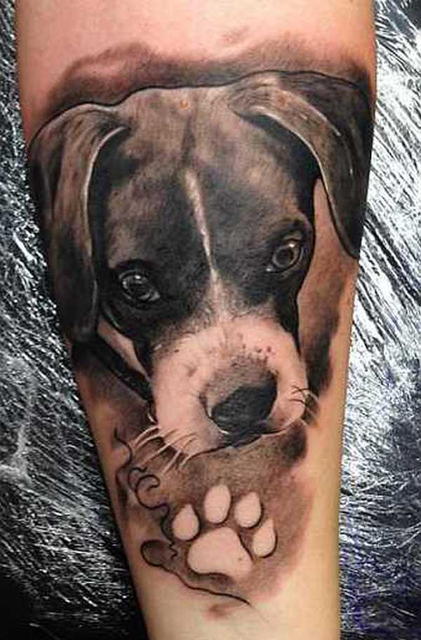 Hund Tattoo