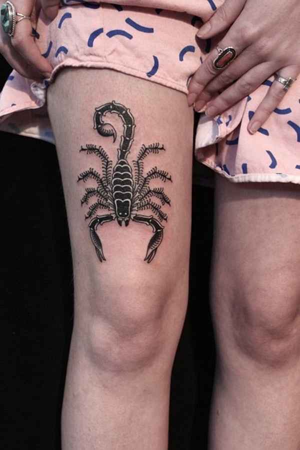 Die krabbelige Welt der SkorpionTattoos Tattoo Spirit