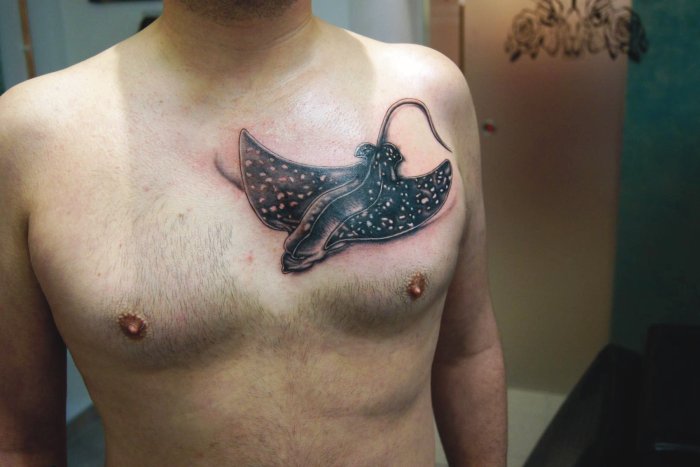 Skill Perfection in Lüneburg Tattoo Spirit